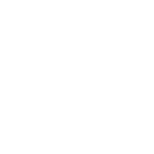SMOKED MEAT